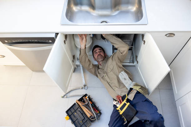  Ddanelle, AR Plumbing Pros