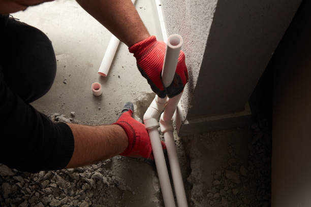 Best Toilet Repair Services  in Ddanelle, AR